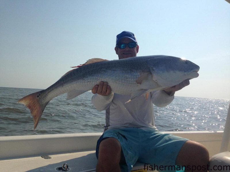 Dak Millis, of Wilmington, with a citation red drum he caught and released while fishing just off Wrightsville Beach with Capt. Jamie Rushing of Seagate Charters.