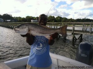 Justin Bland, of Wrightsville Beach, with a red drum that struck a Gulp bait beneath a popping cork around a local dock.