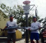 Bubba and Sam Sanderson with 31 and 34 lb. king mackerel they hooked 18 miles off Cape Lookout on live menhaden. Weighed in at EJW Outdoors.