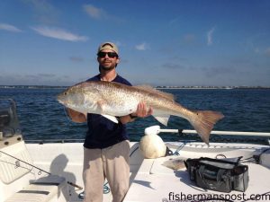 Gray Currin with a citation-class red drum he caught and released just off Masonboro Inlet after it struck a live mullet.