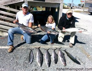 John Bullock, Becky Early, and Chuck Johnson with a haul of king mackerel they landed while trolling dead cigar minnows under Blue Water Candy skirts near AR-366.