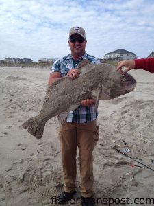 John Herring, of Holly Springs, NC, with a 51" black drum he caught and released in the Emerald Isle surf after it struck shrimp on a bottom rig fished on 8 lb. line.