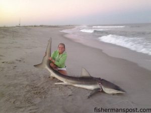 Carly Hagg with an 8'9" (est. 170 lbs.) dusky shark that she landed from the beach at Fort Fisher on a kayaked bait. She also removed a shipping strap entangling the shark's head and gills before releasing it.