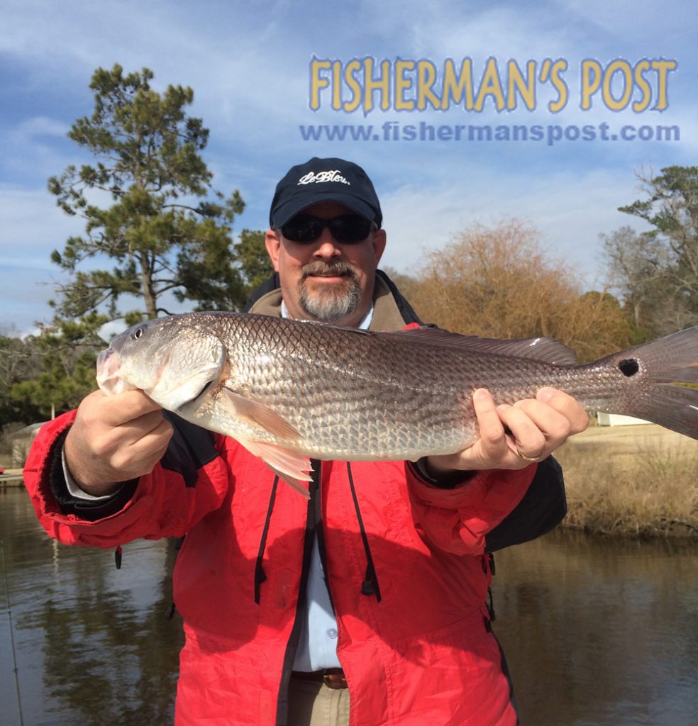 David Edwards with a 24” red drum he hooked on a Zoom Super Fluke in a creek near Emerald Isle while he was fishing with Capt. Jonathan Garrett of On Point Fishing Charters. 