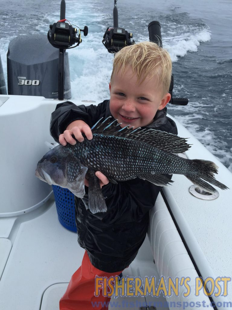 Brayden McMullan with a healthy black sea bass he hooked while bottom fishing in 80' of water off Ocean Isle with his dad, Capt. Brant McMullan.