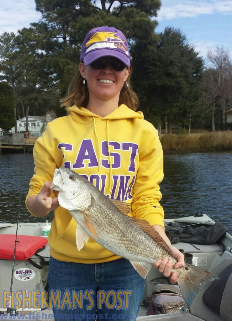 Jenny Carraway with a winter red drum that struck a live mud minnow on a drop shot rig while she was fishing a Careteret County creek with her husband Grant.