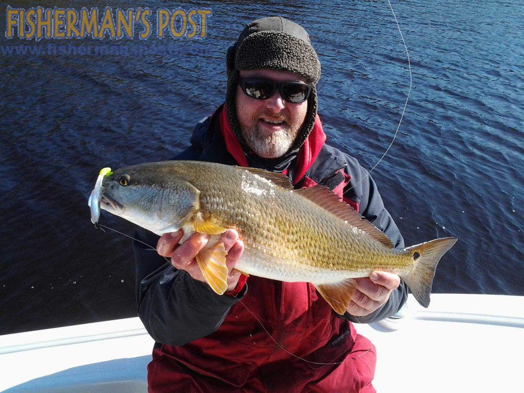 Capt. Allen Jernigan, of Breadman Ventures, with a slot red drum that struck a Salty Bay Baits Cigar Minnow while he was fishing a New River bay near Sneads Ferry.