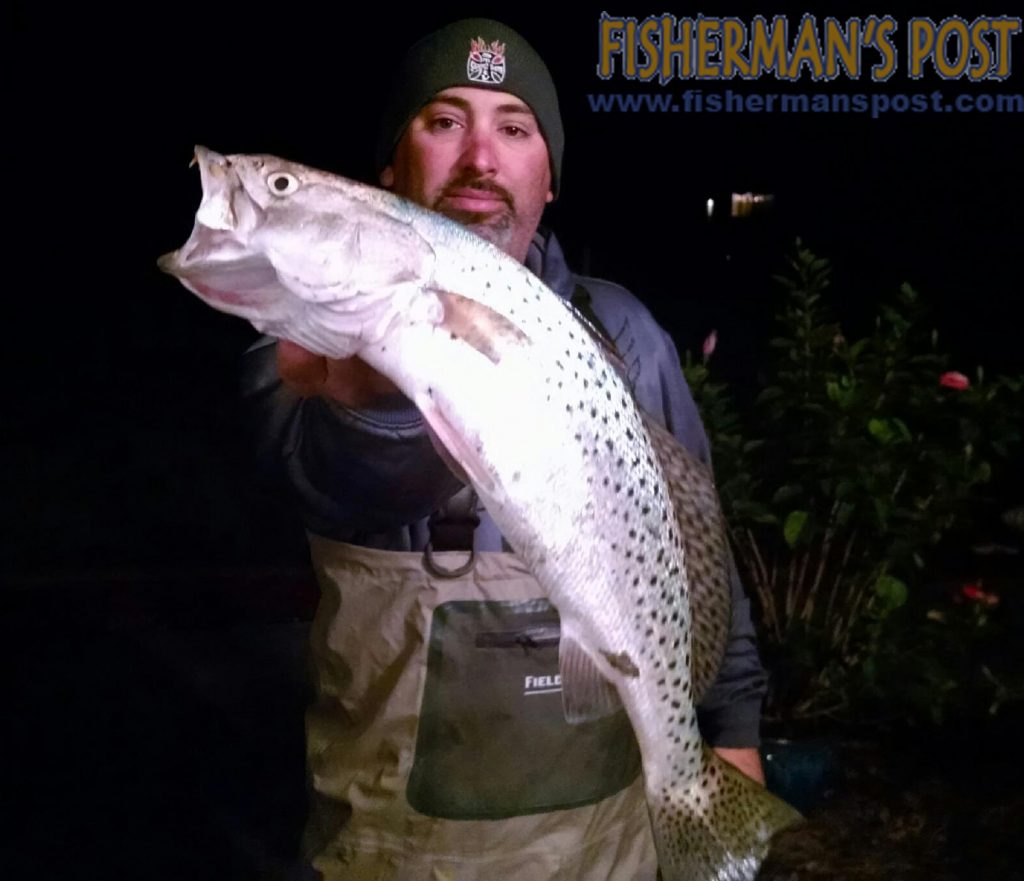 Derek King with a 24" speckled trout that struck a MirrOlure in the Topsail Island surf.