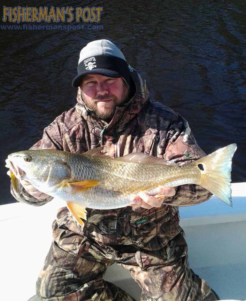 Raymond Brittain with an upper-slot red drum he hooked while fishing a bay off the New River with Capt. Allen Jernigan of Breadman Ventures. A Salty Bay soft plastic fooled the red. 