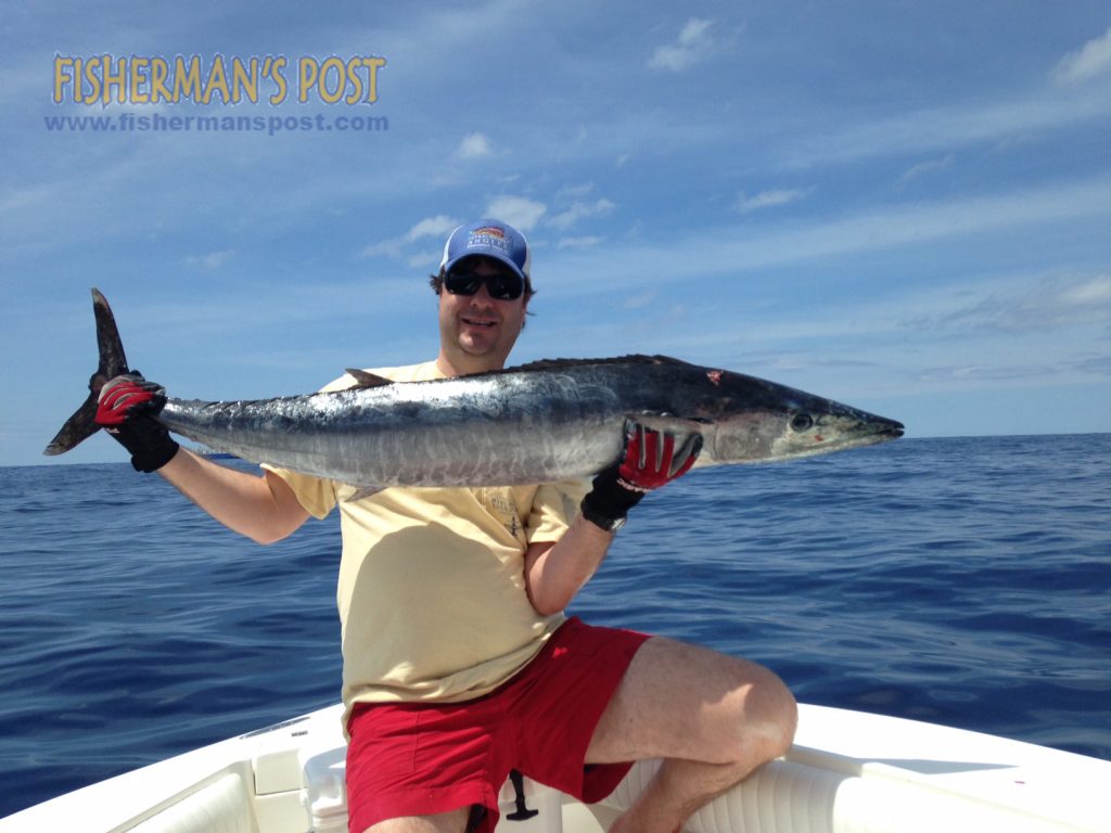 Chris Edwards, of Raleigh, with a 50 lb. wahoo that struck a blue/white-skirted ballyhoo at the NE Big Rock.