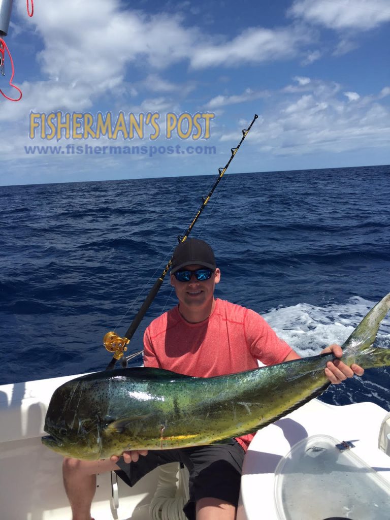 Jason Cole, of Washington, DC, with a gaffer dolphin that struck a ballyhoo under a Blue Water Candy skirt in 110' of water off Carolina Beach while he was fishing with Capt. Rod Bierstedt of OnMyWay Charters.