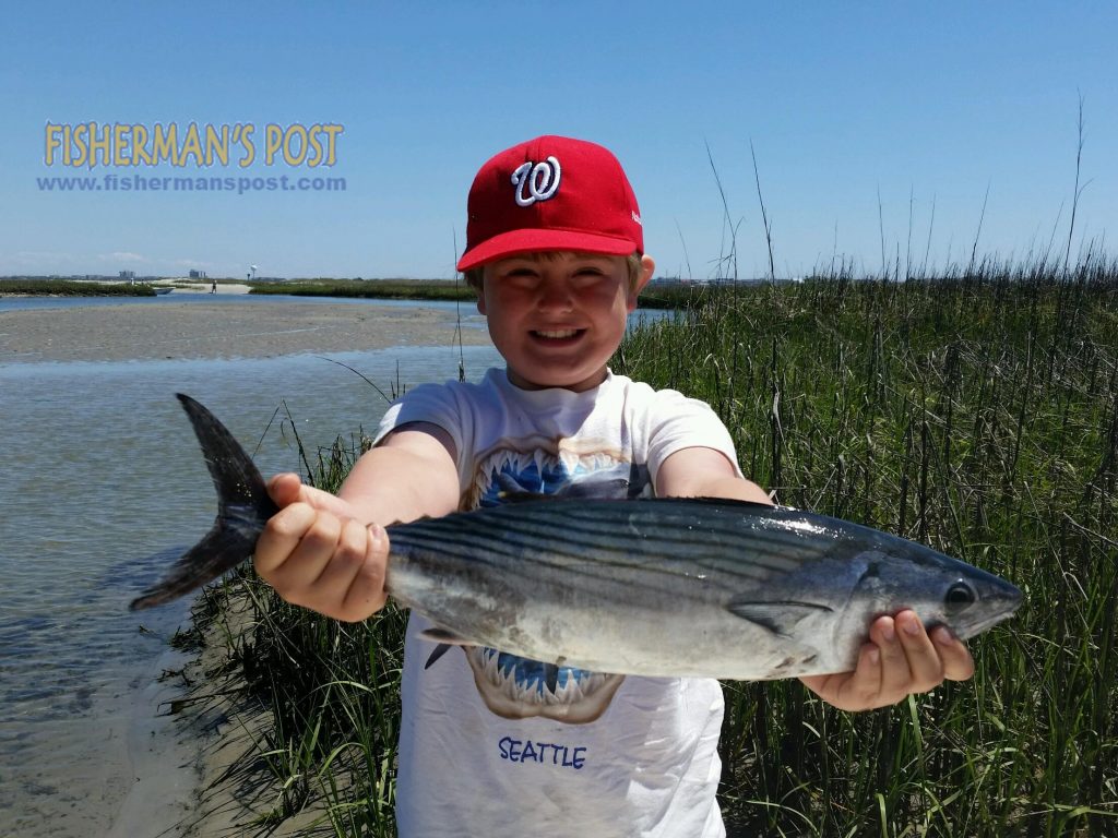 Rocco Tchetter with his first Atlantic bonito, hooked near the Liberty Ship while he was fishing with his father and Capt. Rob Boline.