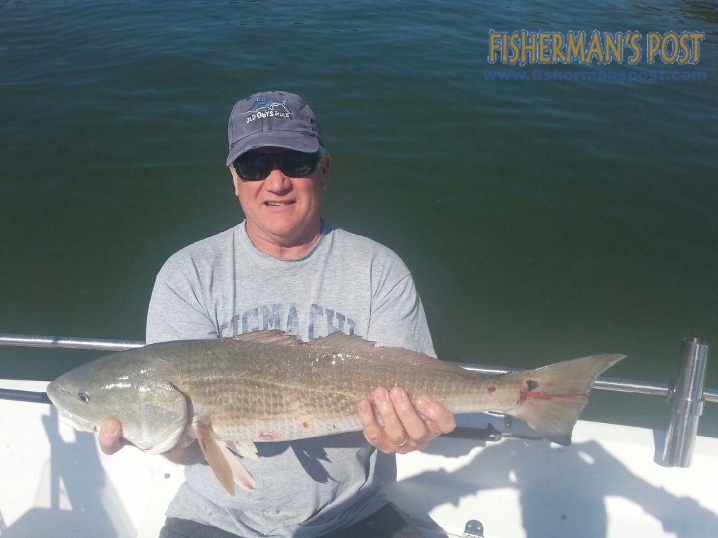 Frank Hoke, of Wilmington, with a red drum that struck a slab of bluefish while he was fishing the ICW near Wrightsville Beach with Capt. Jamie Rushing of Seagate Charters.