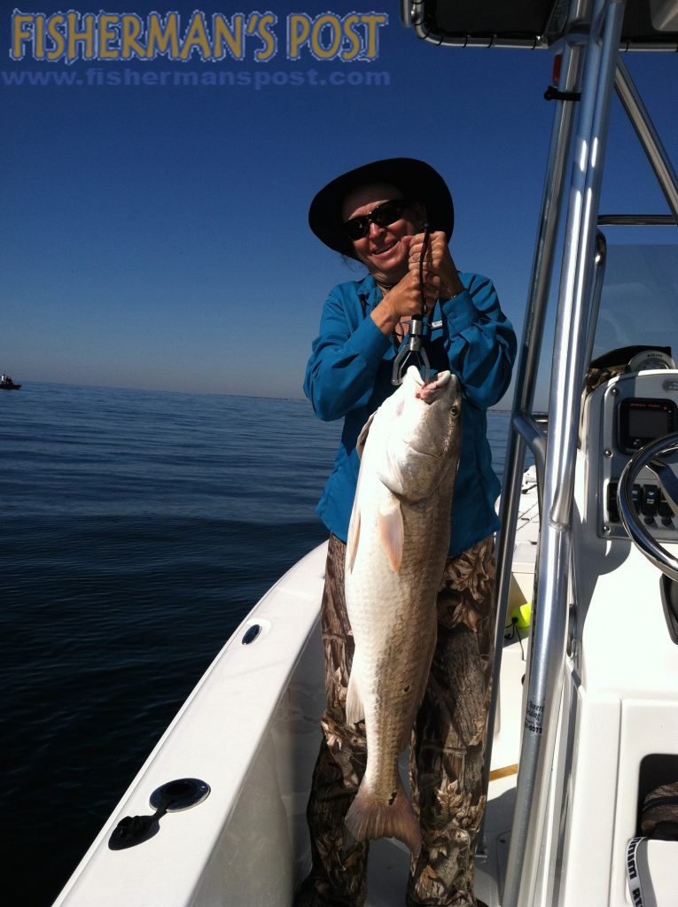 Brenda May, of Wade, NC, caught and released this 39" red drum at Yaupon Reef after it struck a live mullet.