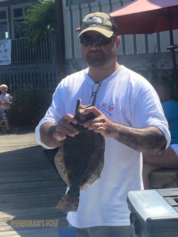 11887885_1145221012173576_8215640191202207948_n copy