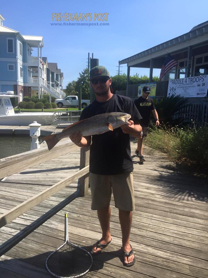 11951252_1145221025506908_4321450884451228081_n copy