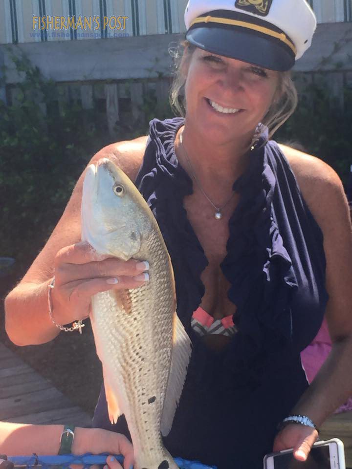 11953250_1145220958840248_1712568170037747642_n copy