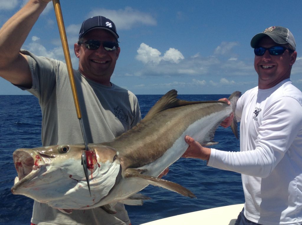 Lane Adams and Rob Boyer with a 65 lb. cobia that bit a whole squid while they were grouper fishing with Josh Winslow east of Frying Pan Shoals in 80' of water.