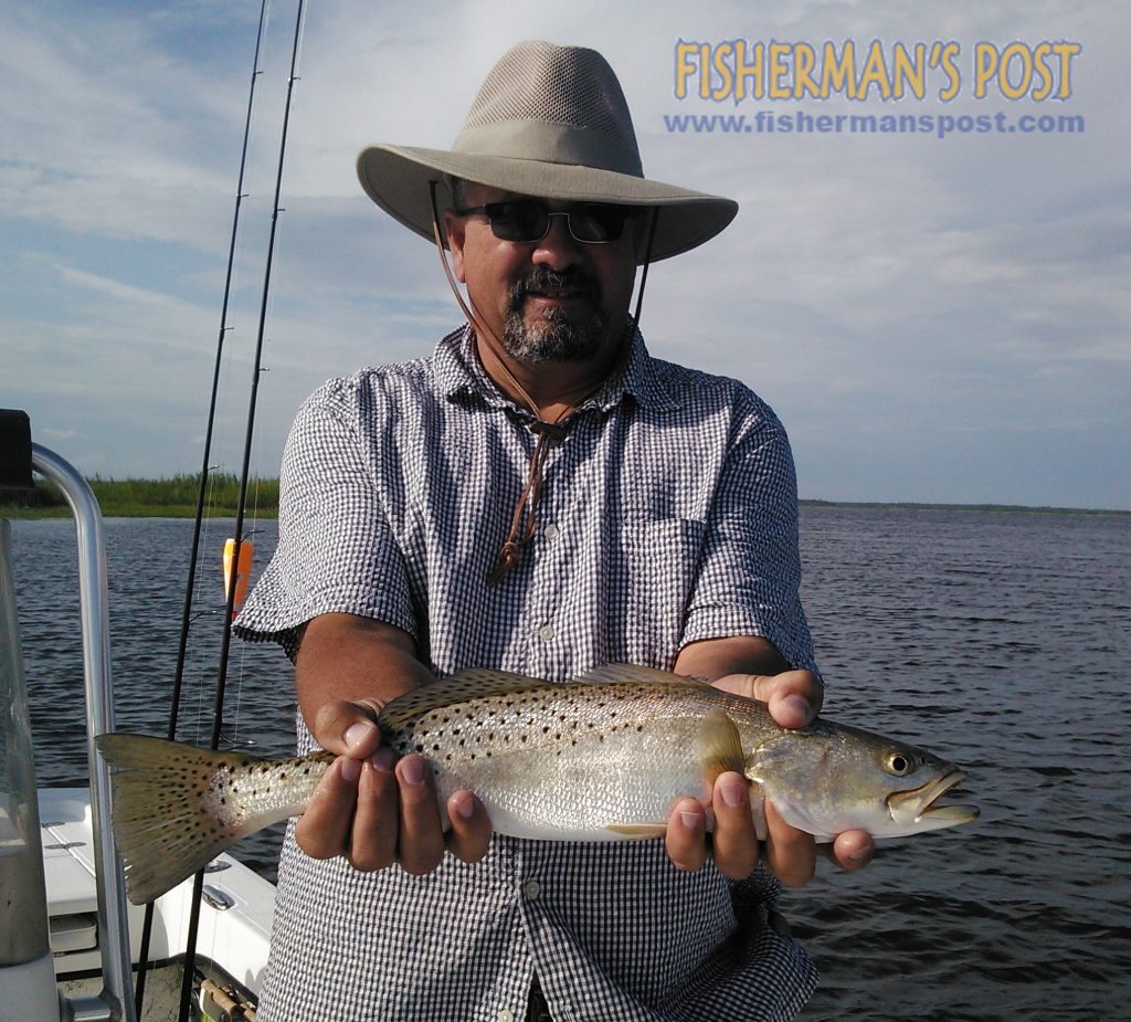 Joe Powers, of Delaware, with a speckled trout that fell for a D.O.A. jig/soft plastic combo along a Neuse River shoreline while he was fishing with Capt. Gary Dubiel of Spec Fever Guide Service.