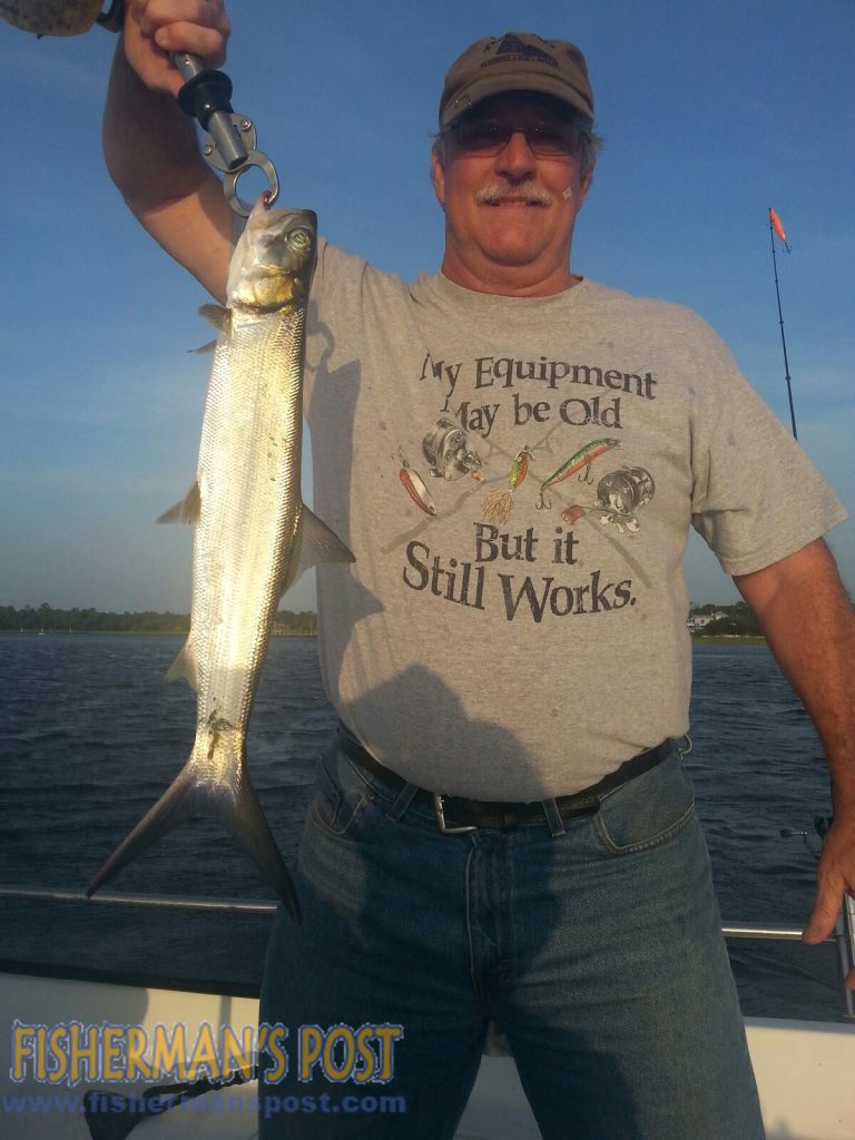 Sal Vasi, of Houston, TX, with a ladyfish that struck a Heddon Spook topwater plug in the ICW near Wrightsville Beach while he was fishing with Capt. Jamie Rushing of Seagate Charters.