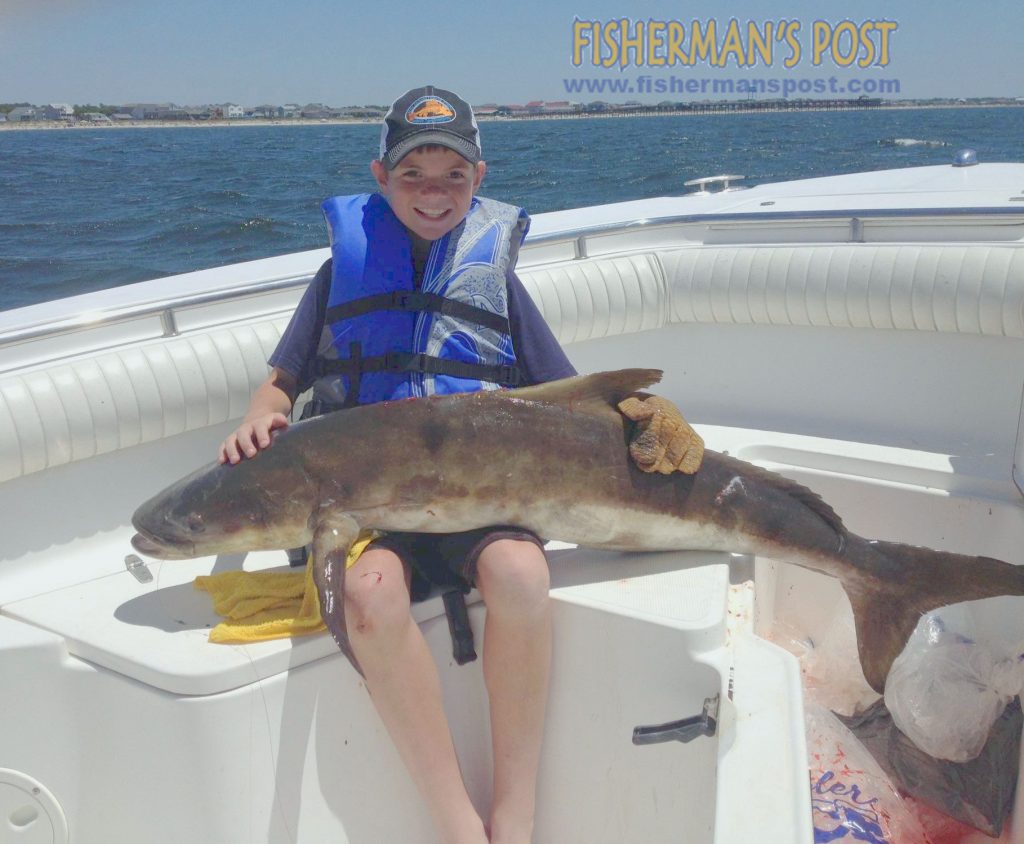 Aiden Perdue, of Denton, NC, with a 44.2 lb. cobia that bit a live bait just off the beach at Oak Island.