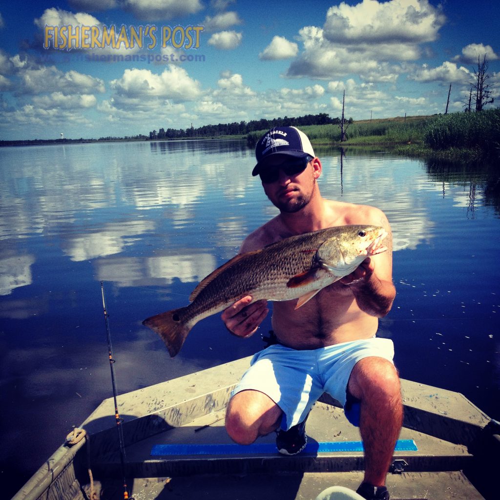 Weston Russell, of Belville, NC, with a 25" red drum that bit a live finger mullet in the Cape Fear River.