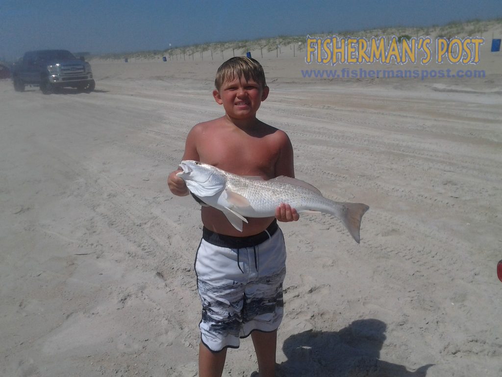 Chris Shoemaker (age 9), of Winston-Salem, NC, with a 26" red drum that bit a sand flea in the surf at the north end of Carolina Beach while he was fishing with his grandfather.