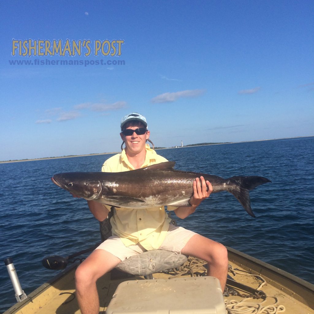 Dakota Wilkerson, of Greenville, NC, with a cobia he landed after it inhaled a dead menhaden on the bottom near Cape Lookout.