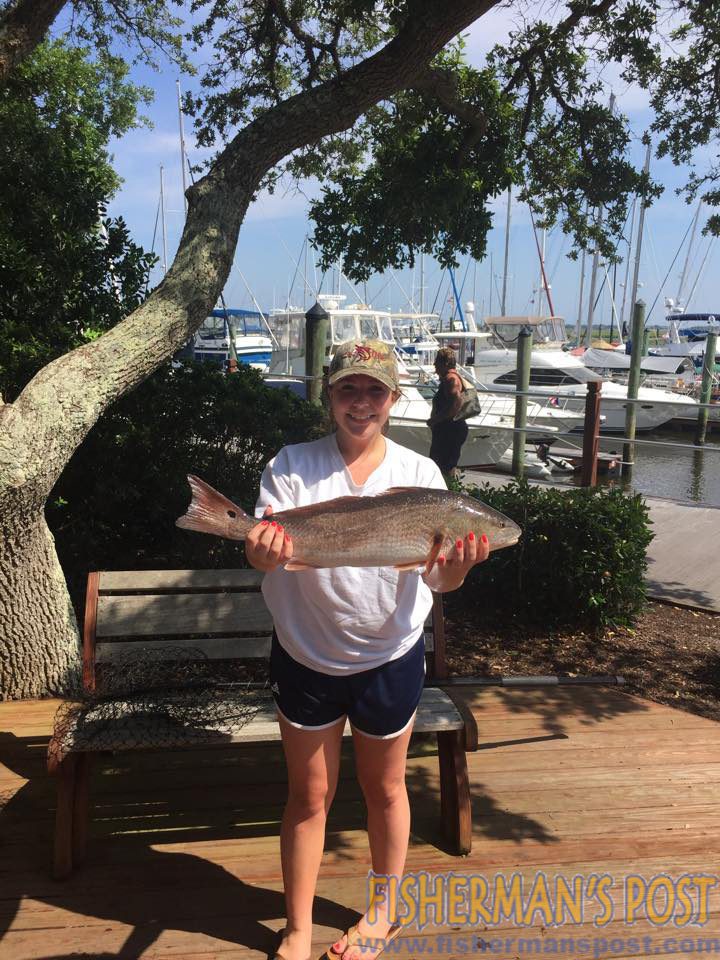 11012991_1107116555984022_9149216603864594364_n copy