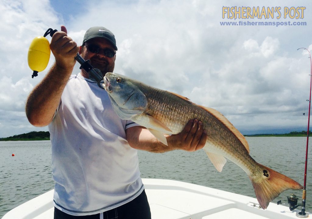 Mike Ford, of Danville, VA, with an over-slot red drum that bit a live menhaden while he was fishing inshore of Topsail Island with Capt. Daniel Jarvis of Flat Foot Charters.