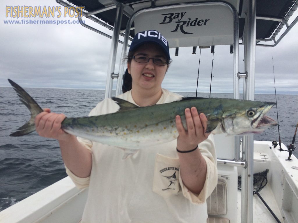 Katherine Christopher, of Richmond, VA, with a 7 lb. spanish mackerel that bit a live menhaden 3 miles off Bogue Inlet while she was fishing with Capt. Rob Koraly of Sandbar Safari Charters.