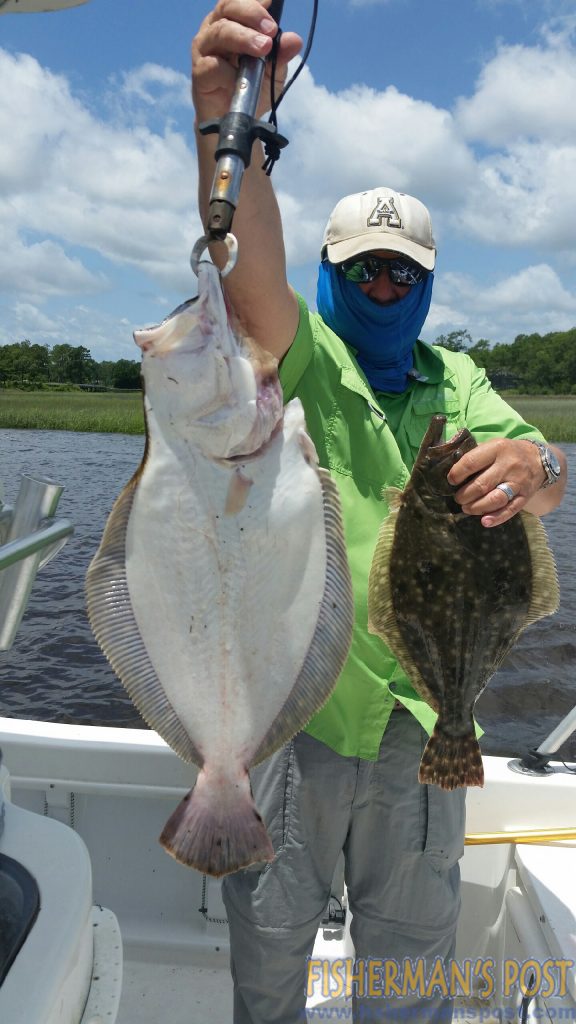 Claude Keeney, of Lake Norman, NC, with a pair of keeper flounder he hooked on live baits while fishing near Lockwood Folly Inlet with Capt. Kevin Sneed of Rigged and Ready Charters.