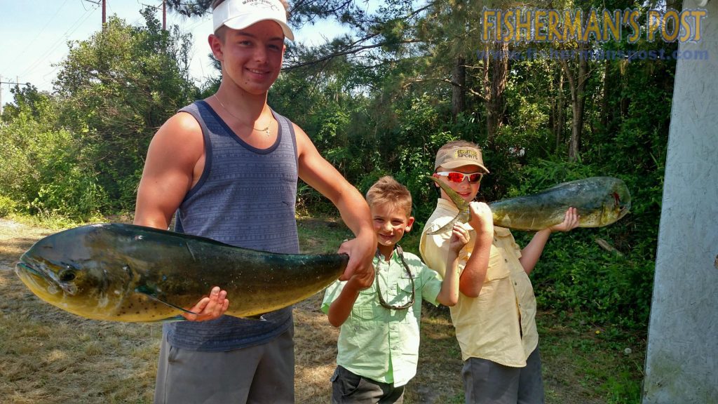 Justin Cleary, Luke Johnson, and Tim Fisher, of Tramway, NC, with a pair of dolphin they hooked on dead cigar minnows while trolling around AR-362 off New Topsail Inlet.