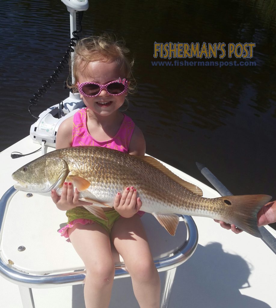 Camille Clark (age 3), with a 28" red drum she caught and released while fishing the lower Cape Fear River with her parents, Capts. Rennie and Shannon Clark of Tournament Trail Charters.