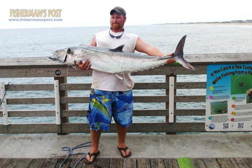 C.J. Rice, of Roanoke Island, with a pier-record 65 lb. king mackerel that attacked a pin-rigged live bluefish off the end of Jennette's Pier.