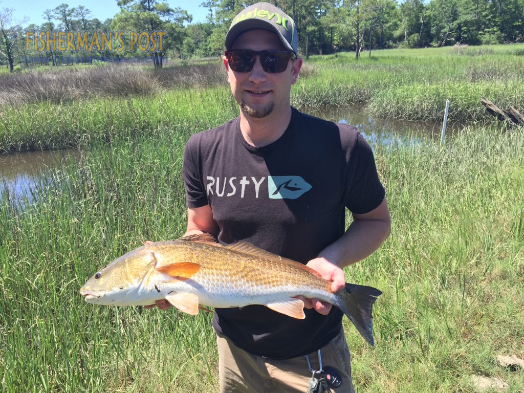 Paul Rudolph with a red drum he caught and released in Walden's Creek after it struck a white grubon a red jighead.