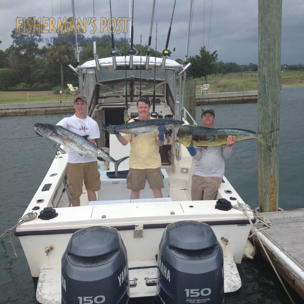 Hunter, Tom, and Mark Keenan with 49" and 44" king mackerel and a 46" dolphin that struck ballyhoo under Blue Water Candy skirts while they were trolling in 75-90' of water off Carolina Beach Inlet with Capt. Rod Bierstedt of OnMyWay Charters.