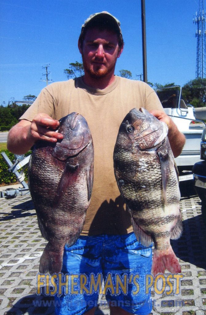 Daniel McFarland with a pair of citation sheepshead (10.96 and 8.8 lbs.) he weighed in at TW's Tackle.