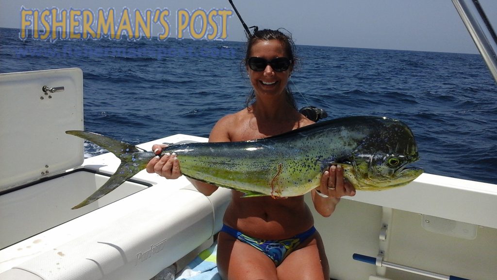 Jamie Horne, of Morehead City, with a bull dolphin that bit an Alien lure while she was trolling west of the 240 Rock.