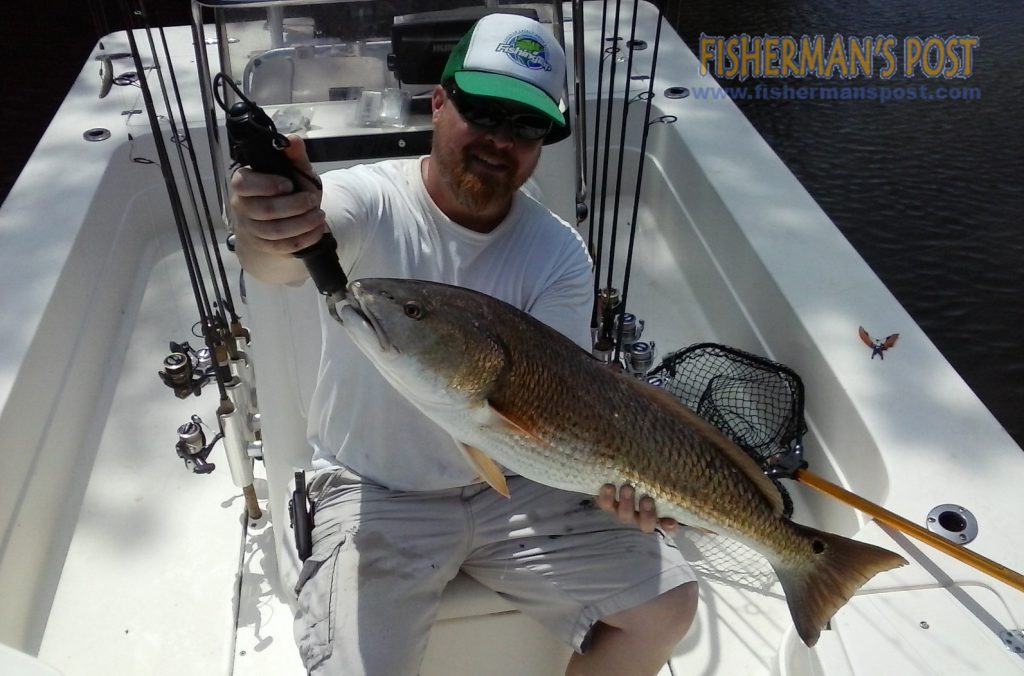 Eirik Motz with an over-slot red drum he caught and released in the Cape Fear River while fishing with Capt. Rennie Clark of Tournament Trail Charters.