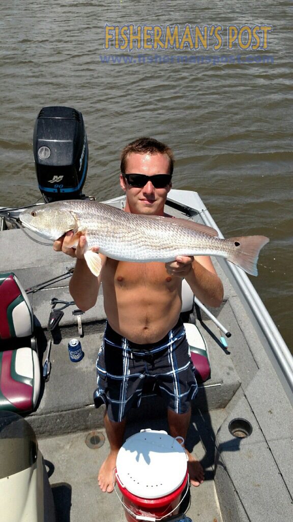 Daniel Lucas, of Wilmington, with a 26.5" red drum that struck a Carolina-rigged menhaden near Sneads Ferry.