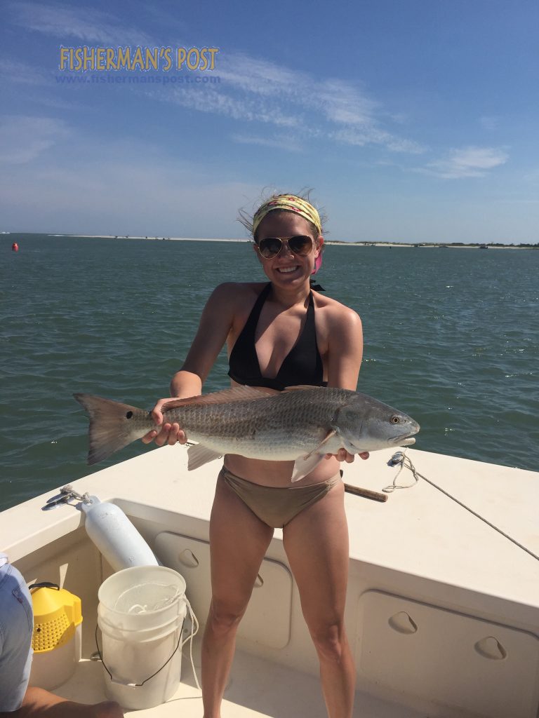 Jordan Simpson, of Elon, NC, with a 26.5" red drum that struck a live finger mullet in Shallotte Inlet.