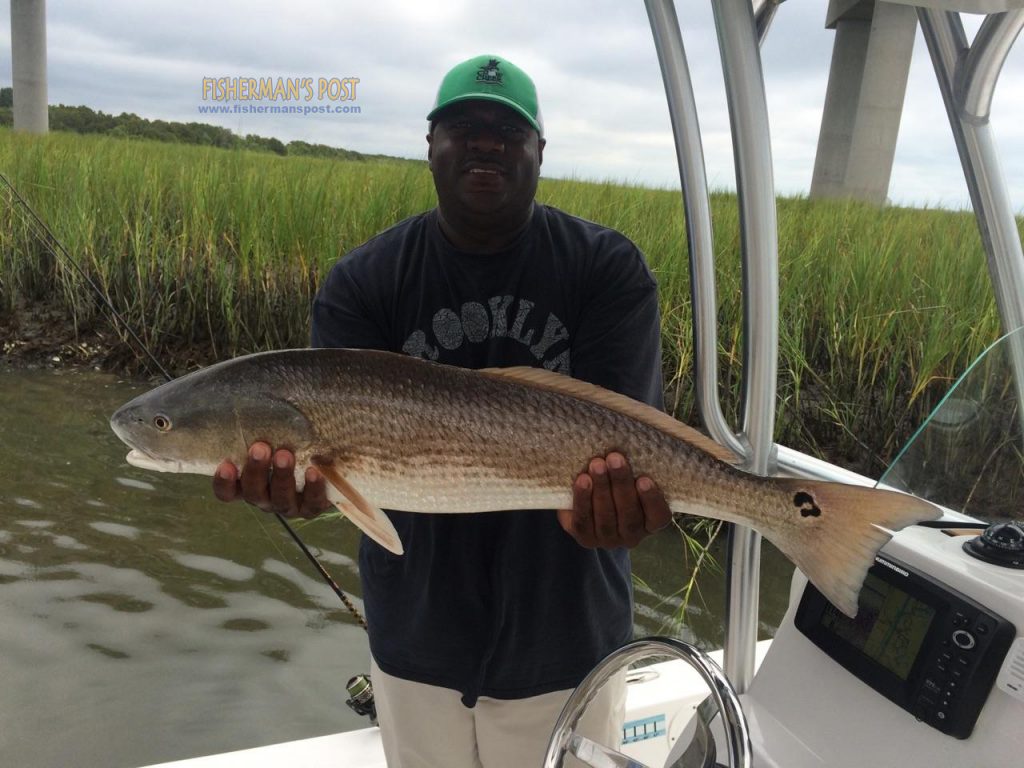 Calvin Freeman, of Durham, NC, with a well over-slot red drum that bit a finger mullet near Tubbs Inlet while he was fishing with Joe Zurad on the "Zbreeze."