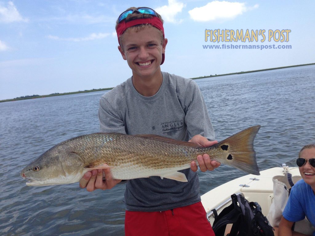 Roy Holdford with an over-slot red drum he hooked on a topwater plug while fishing Masonboro Sound.