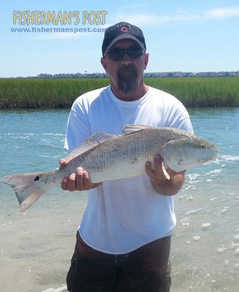 Deron Webb, of Winnabow, NC, with an over-slot red drum he landed while wade-fishing inshore at Sunset Beach.