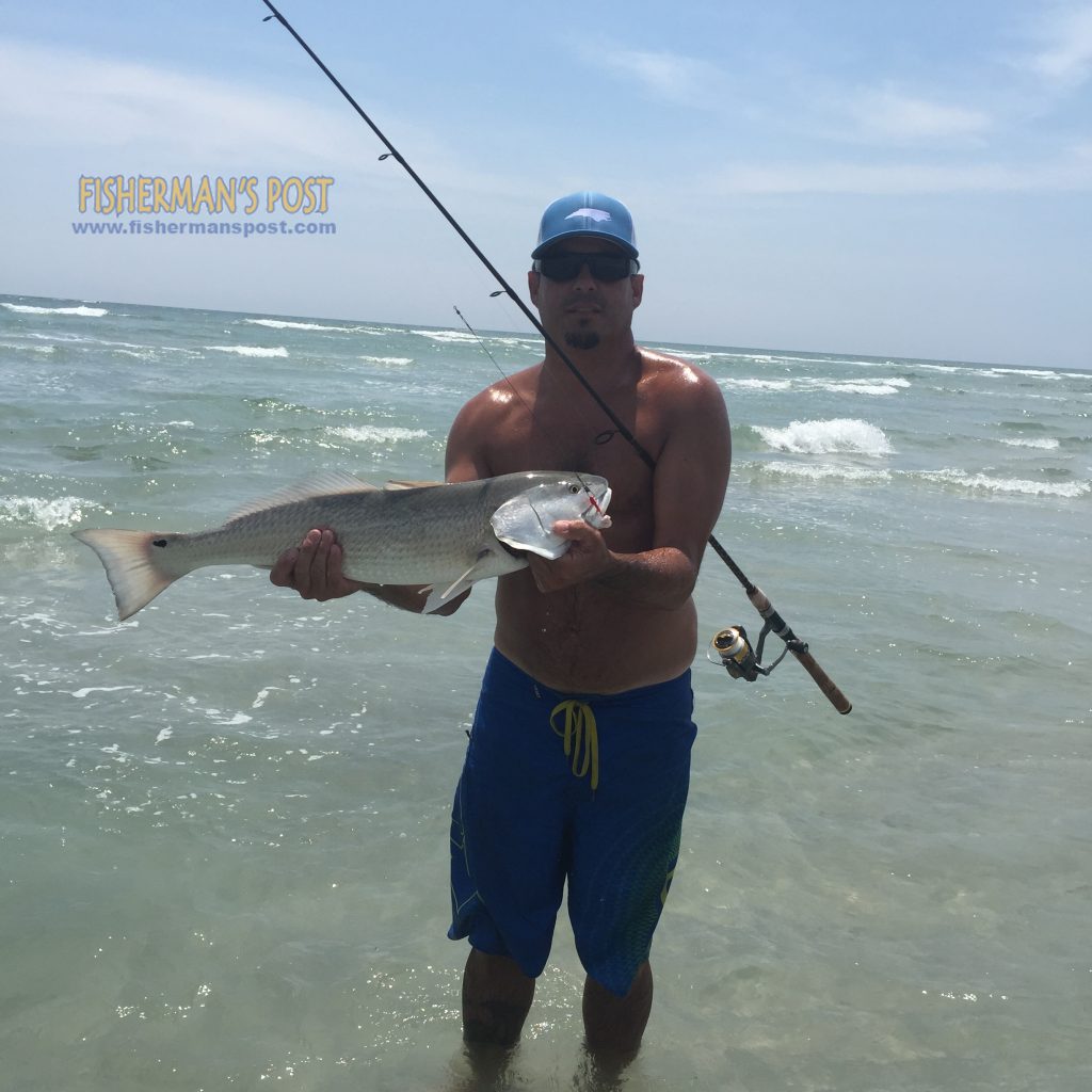 Vincent Stemp, of Hampstead, with an over-slot red drum he caught and released while casting a 4" Gulp shrimp in New Topsail Inlet.