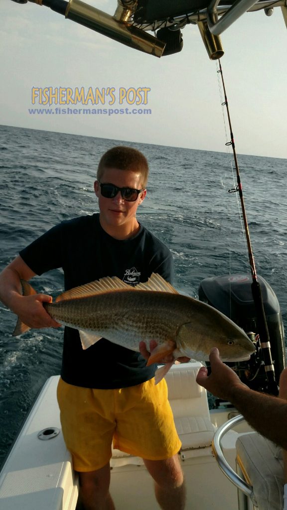 Brandon Burch, of Maryland, with a 38" red drum he caught and released after it attacked a Drone spoon 5 miles off Topsail Beach while he was fishing with Capt. Jim Sabella of Plan 9 Fishing Charters.