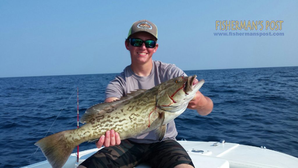 Joshua Lamm with his first grouper, a gag that inhaled a live bait while he was fishing some bottom structure 25 miles off Beaufort Inlet with Capt. Chris Kimrey of Mount Maker Charters.