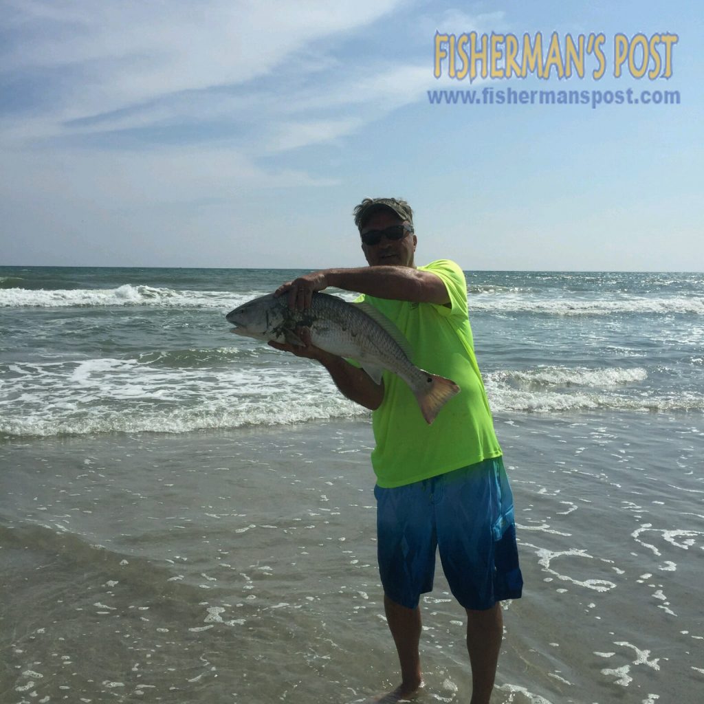 Gary Penny, of Durham, NC, with a red drum he caught in the Atlantic Beach surf.