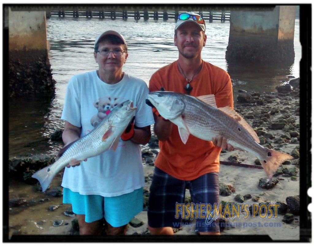 Marilyn and Johnny Buffum with 25 and 33" red drum they landed after a double hookup in Snow's Cut. Both fish fell for live finger mullet.